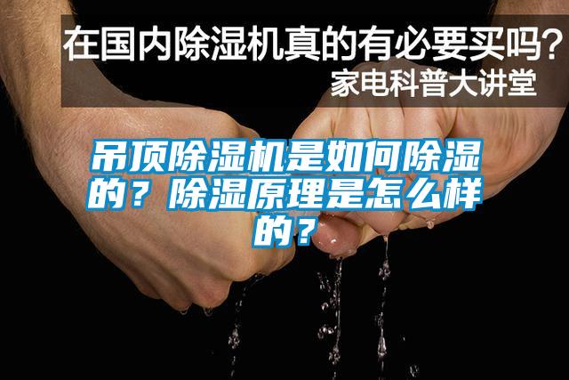 吊頂除濕機是如何除濕的？除濕原理是怎么樣的？
