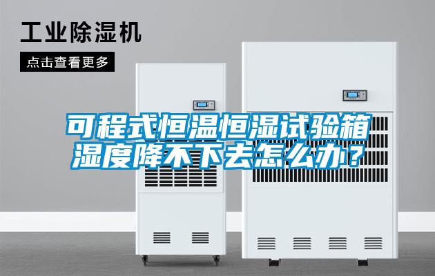 可程式恒溫恒濕試驗箱濕度降不下去怎么辦？