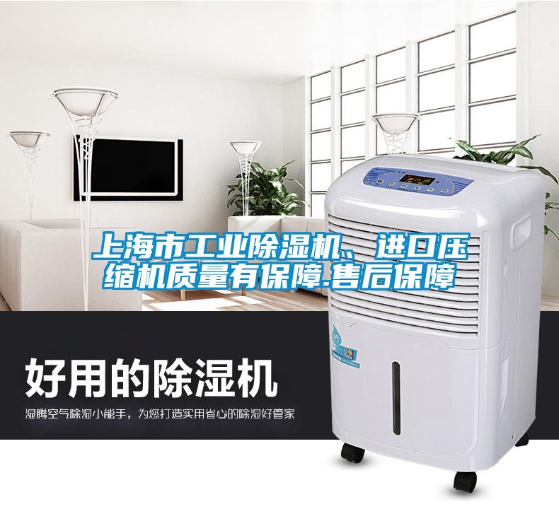 上海市工業(yè)除濕機、進口壓縮機質(zhì)量有保障.售后保障