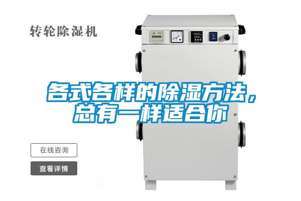 各式各樣的除濕方法，總有一樣適合你