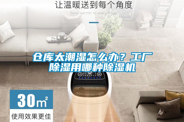 倉庫太潮濕怎么辦？工廠除濕用哪種除濕機(jī)