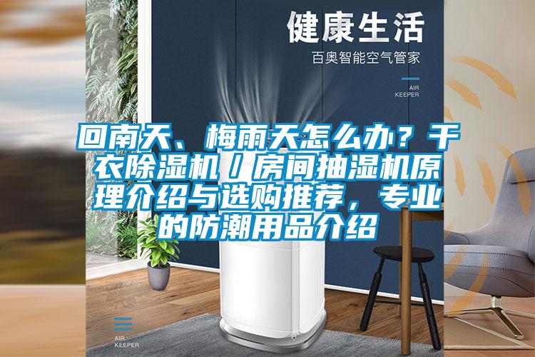 回南天、梅雨天怎么辦？干衣除濕機／房間抽濕機原理介紹與選購推薦，專業(yè)的防潮用品介紹