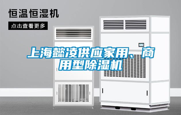 上海懿凌供應(yīng)家用、商用型除濕機