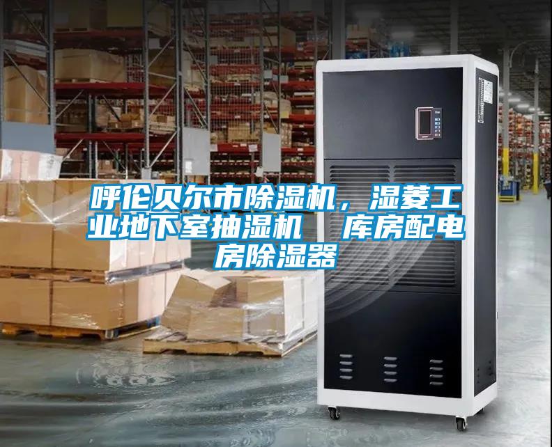 呼倫貝爾市除濕機，濕菱工業(yè)地下室抽濕機  庫房配電房除濕器