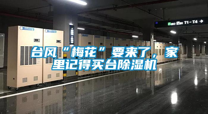 臺風(fēng)“梅花”要來了，家里記得買臺除濕機
