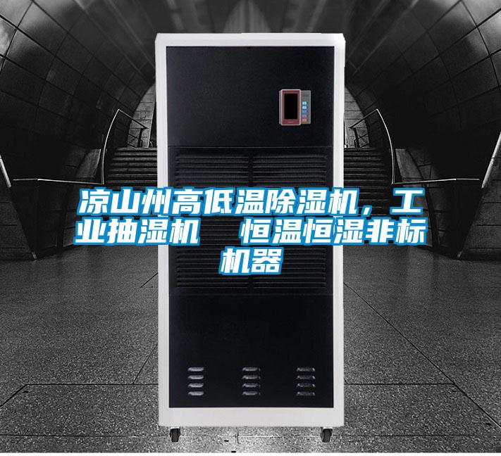 涼山州高低溫除濕機，工業(yè)抽濕機  恒溫恒濕非標(biāo)機器