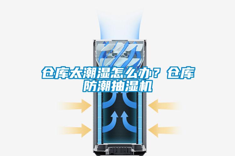 倉庫太潮濕怎么辦？倉庫防潮抽濕機