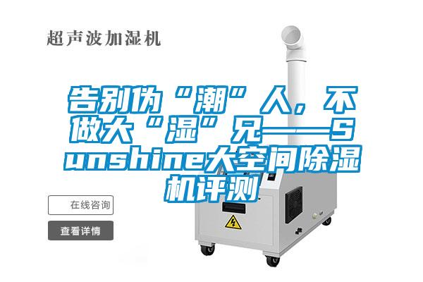 告別偽“潮”人，不做大“濕”兄——Sunshine大空間除濕機(jī)評(píng)測(cè)