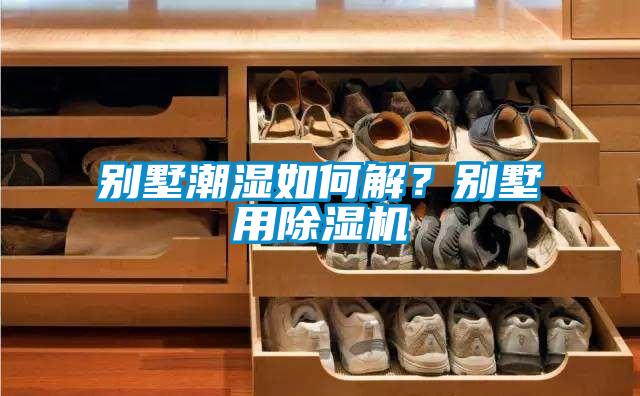 別墅潮濕如何解？別墅用除濕機(jī)