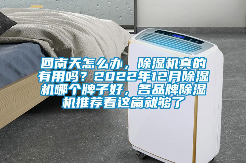 回南天怎么辦，除濕機(jī)真的有用嗎？2022年12月除濕機(jī)哪個(gè)牌子好，各品牌除濕機(jī)推薦看這篇就夠了