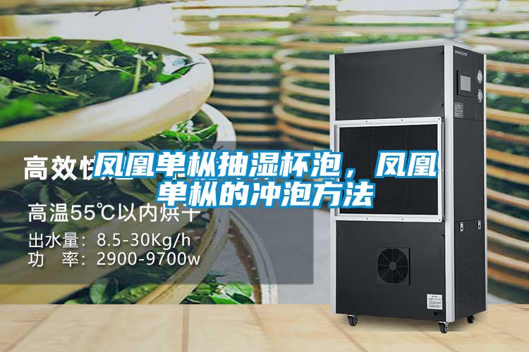 鳳凰單樅抽濕杯泡，鳳凰單樅的沖泡方法