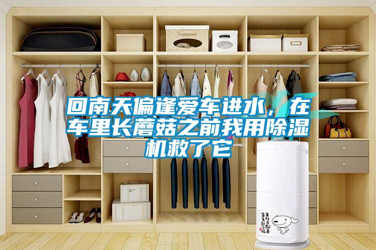 回南天偏逢愛車進(jìn)水，在車?yán)镩L(zhǎng)蘑菇之前我用除濕機(jī)救了它
