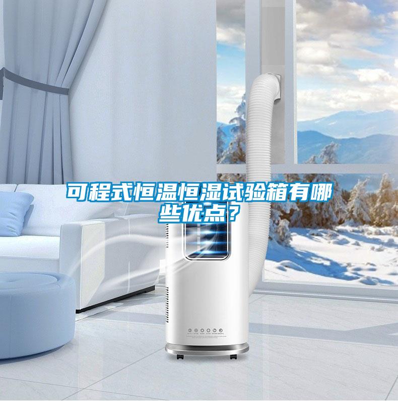 可程式恒溫恒濕試驗(yàn)箱有哪些優(yōu)點(diǎn)？