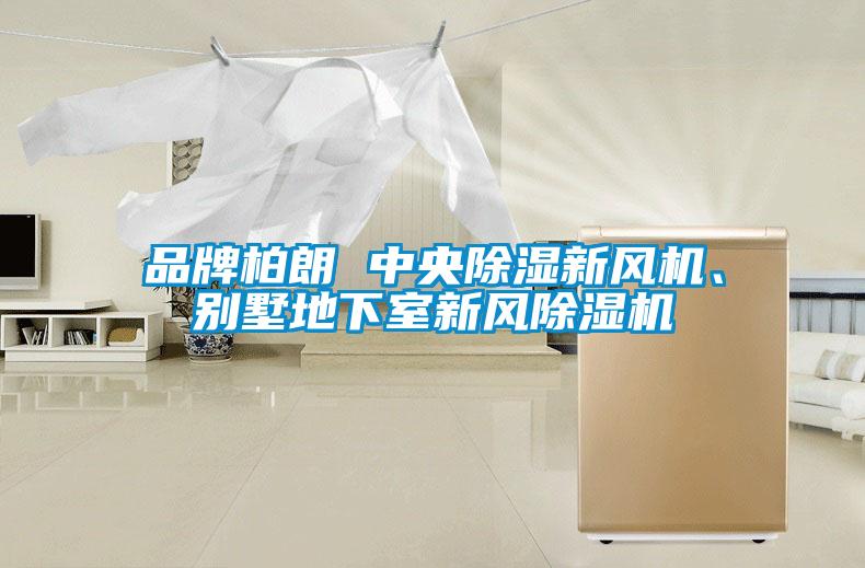 品牌柏朗 中央除濕新風(fēng)機(jī)、別墅地下室新風(fēng)除濕機(jī)