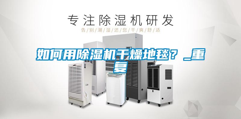 如何用除濕機干燥地毯？_重復