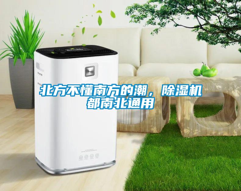 北方不懂南方的潮，除濕機(jī)都南北通用
