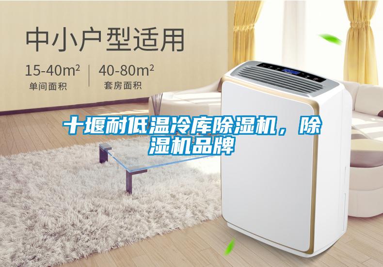 十堰耐低溫冷庫除濕機(jī)，除濕機(jī)品牌