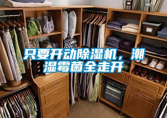 只要開動除濕機，潮濕霉菌全走開