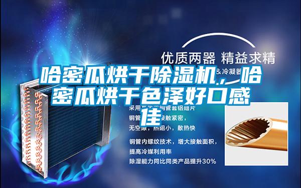 哈密瓜烘干除濕機(jī)，哈密瓜烘干色澤好口感佳