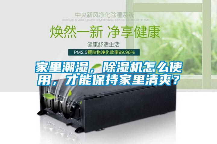 家里潮濕，除濕機怎么使用，才能保持家里清爽？