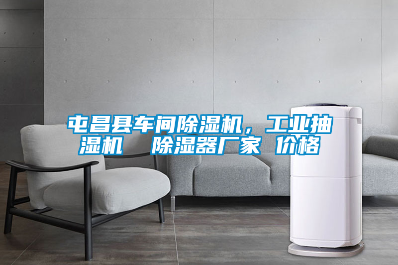 屯昌縣車間除濕機，工業(yè)抽濕機  除濕器廠家 價格