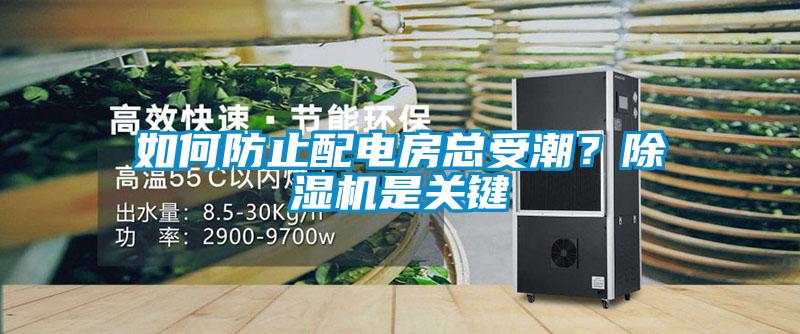 如何防止配電房總受潮？除濕機(jī)是關(guān)鍵