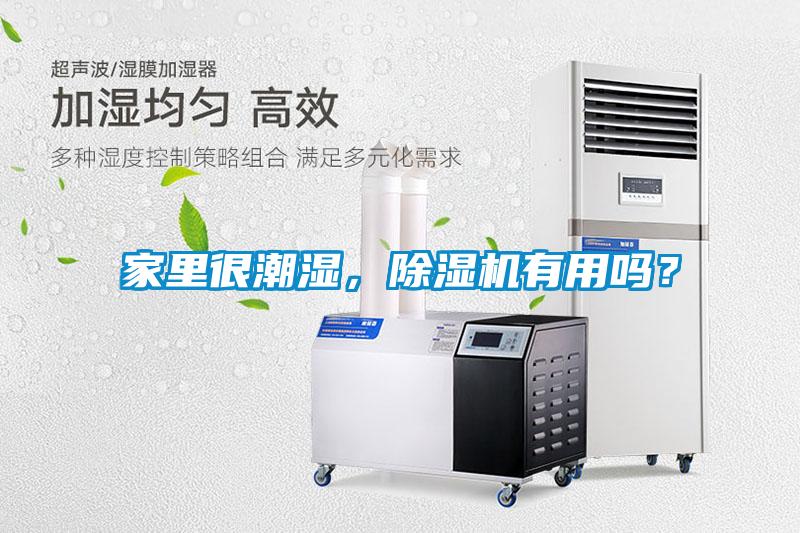 家里很潮濕，除濕機有用嗎？
