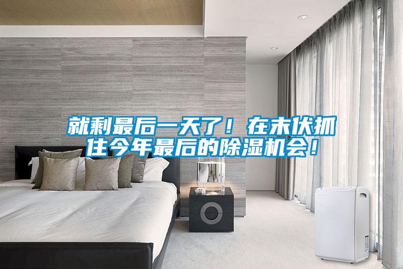 就剩最后一天了！在末伏抓住今年最后的除濕機會！