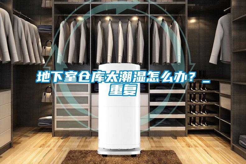地下室倉(cāng)庫太潮濕怎么辦？_重復(fù)