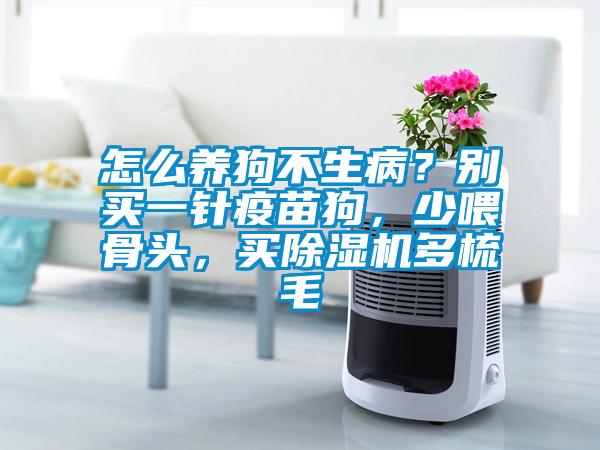 怎么養(yǎng)狗不生??？別買(mǎi)一針疫苗狗，少喂骨頭，買(mǎi)除濕機(jī)多梳毛