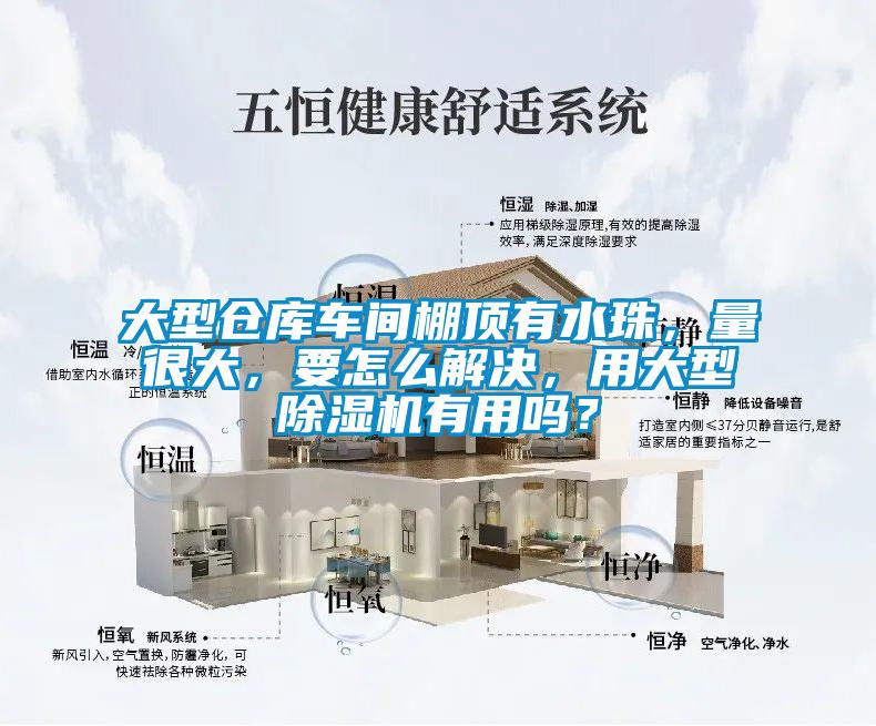 大型倉庫車間棚頂有水珠，量很大，要怎么解決，用大型除濕機有用嗎？