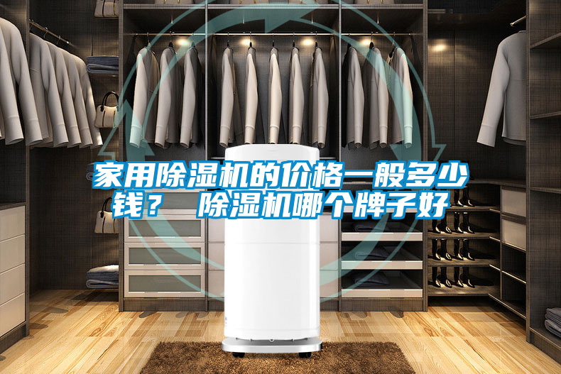 家用除濕機的價格一般多少錢？ 除濕機哪個牌子好
