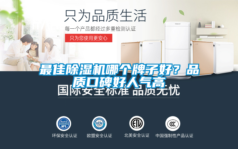 最佳除濕機(jī)哪個(gè)牌子好？品質(zhì)口碑好人氣高