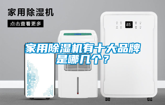 家用除濕機(jī)有十大品牌是哪幾個(gè)？