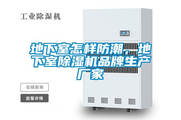 地下室怎樣防潮，地下室除濕機(jī)品牌生產(chǎn)廠(chǎng)家