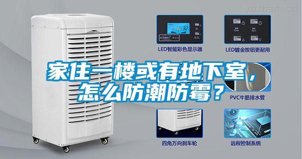 家住一樓或有地下室，怎么防潮防霉？