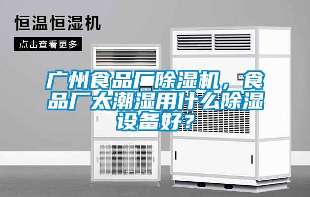 廣州食品廠除濕機，食品廠太潮濕用什么除濕設備好？