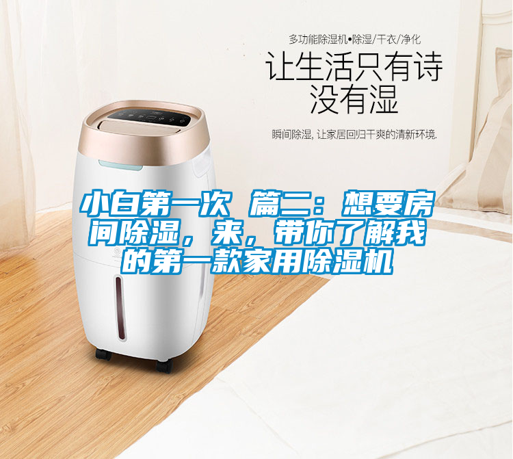 小白第一次 篇二：想要房間除濕，來，帶你了解我的第一款家用除濕機(jī)