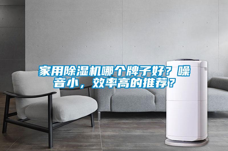 家用除濕機(jī)哪個(gè)牌子好？噪音小，效率高的推薦？