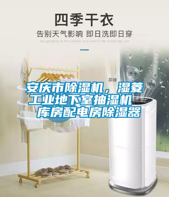 安慶市除濕機(jī)，濕菱工業(yè)地下室抽濕機(jī)  庫(kù)房配電房除濕器