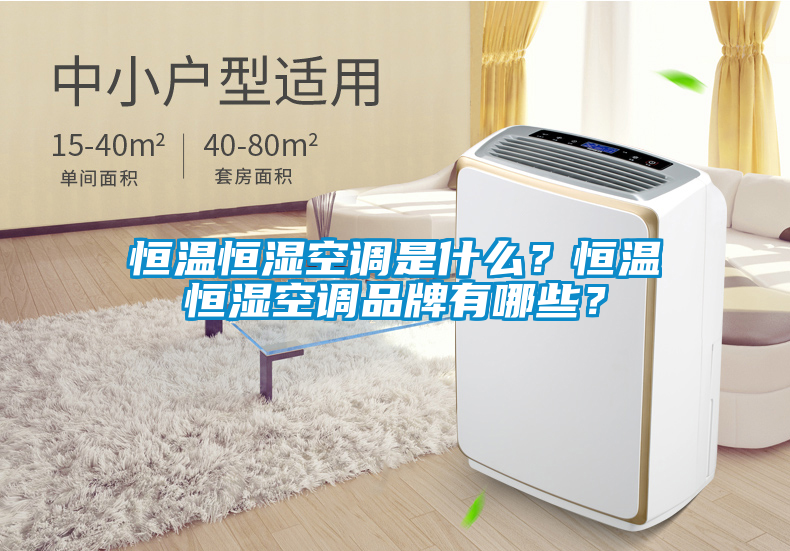 恒溫恒濕空調(diào)是什么？恒溫恒濕空調(diào)品牌有哪些？