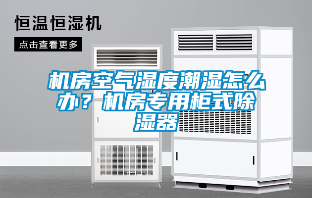 機房空氣濕度潮濕怎么辦？機房專用柜式除濕器