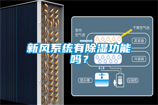 新風(fēng)系統(tǒng)有除濕功能嗎？