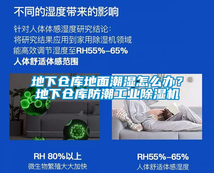 地下倉庫地面潮濕怎么辦？地下倉庫防潮工業(yè)除濕機