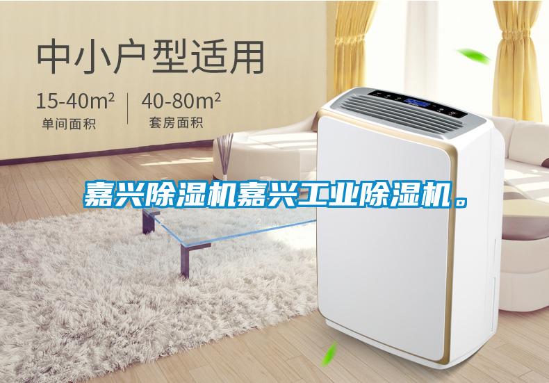 嘉興除濕機嘉興工業(yè)除濕機。