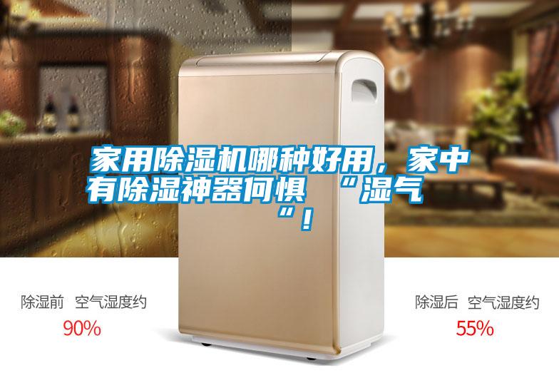 家用除濕機(jī)哪種好用，家中有除濕神器何懼 “濕氣 “！