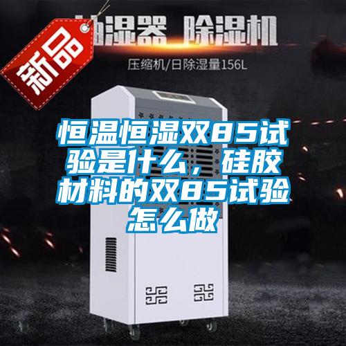 恒溫恒濕雙85試驗是什么，硅膠材料的雙85試驗怎么做