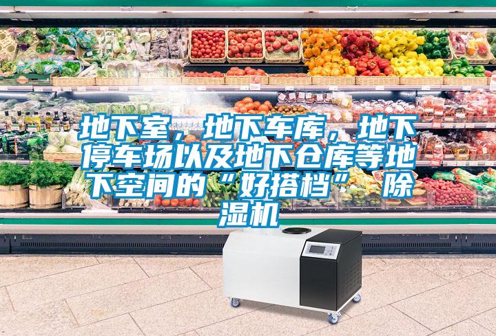 地下室，地下車庫，地下停車場以及地下倉庫等地下空間的“好搭檔” 除濕機(jī)