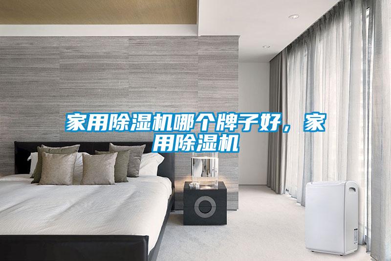 家用除濕機哪個牌子好，家用除濕機