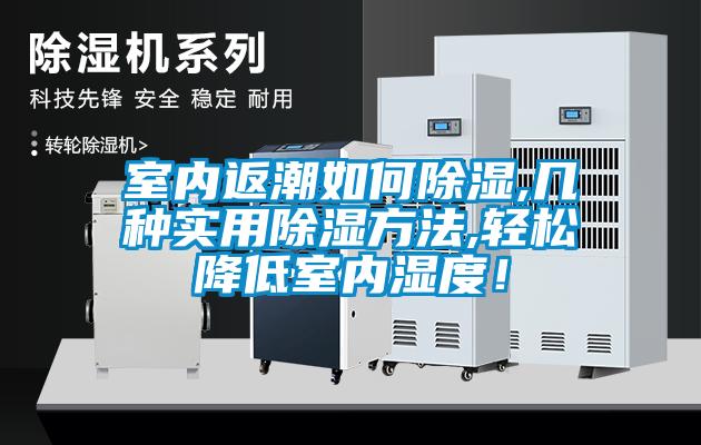 室內(nèi)返潮如何除濕,幾種實(shí)用除濕方法,輕松降低室內(nèi)濕度！